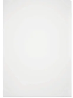 Aktmapp Durable BUSINESS Transparent A4, 50 st