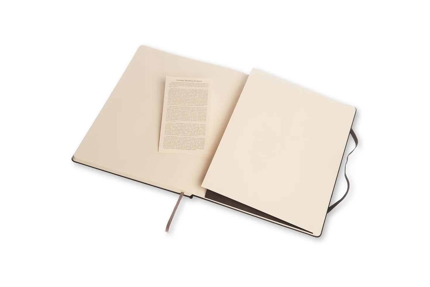 Anteckningsbok Moleskine Classic X-Large, linjerad, svart, 192 sidor