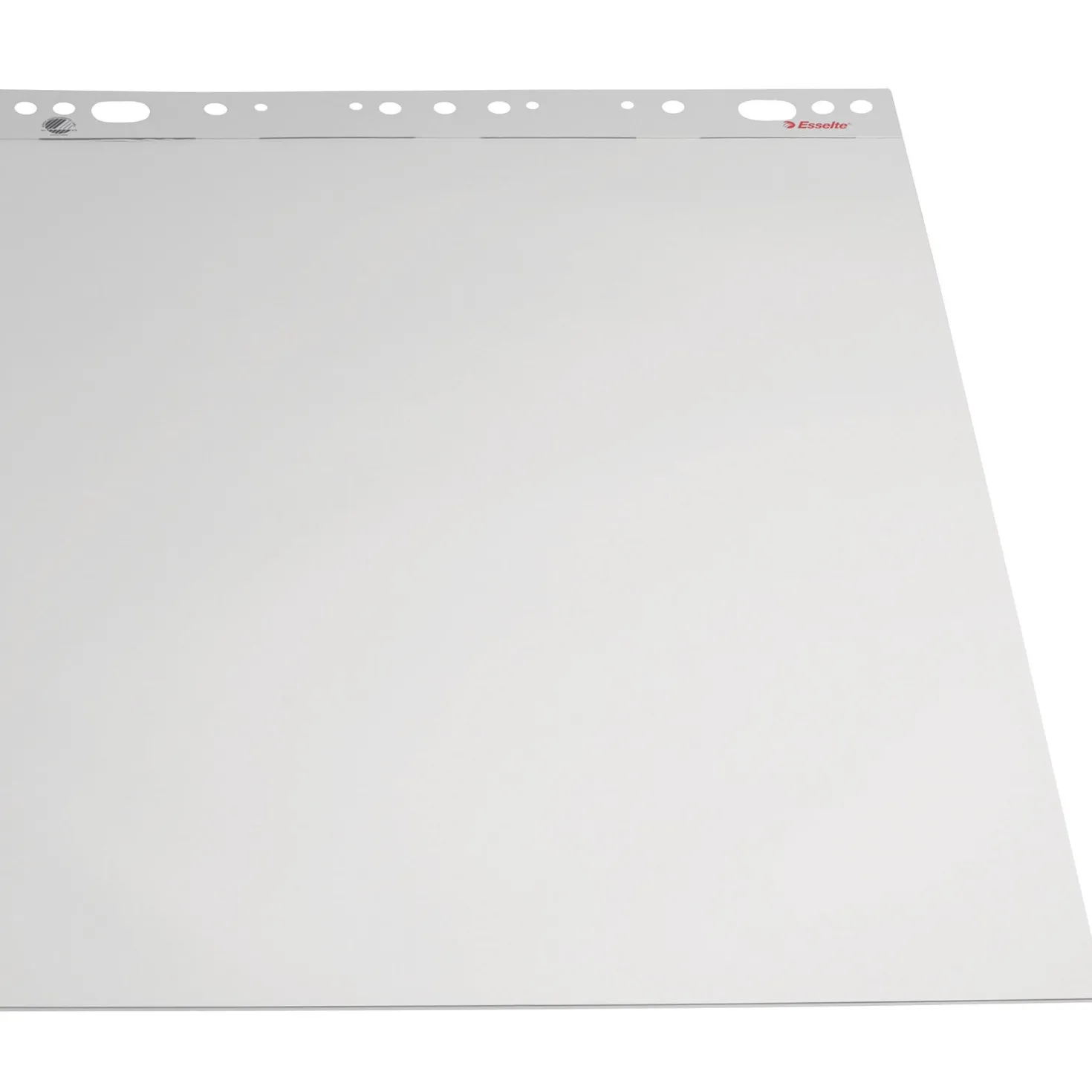 Blädderblock Esselte Olinjerat 59x83 cm, 70 g