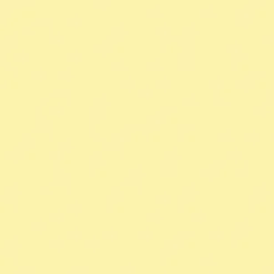Färgat kopieringspapper Rainbow A4 80g Chamois, 500 ark