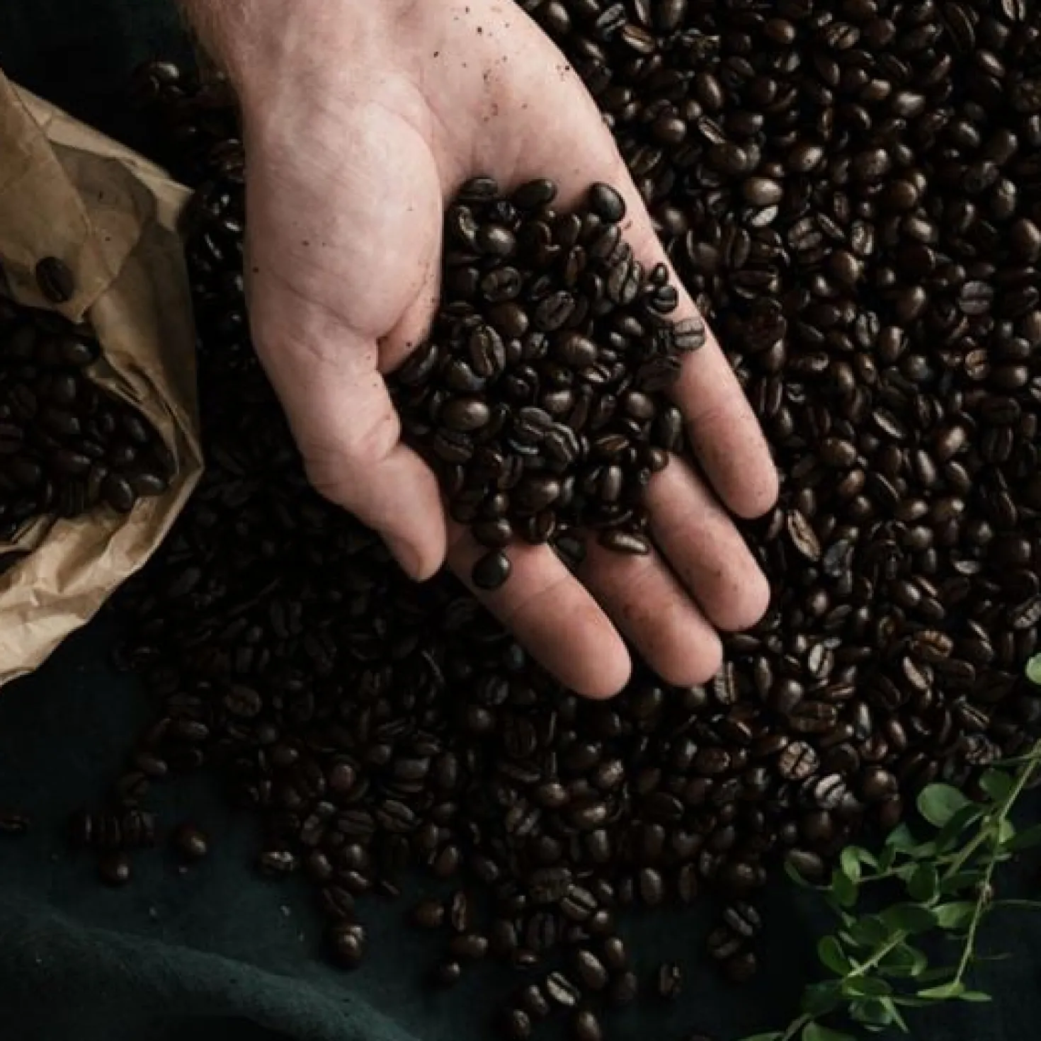 Kaffe Arvid Nordquist Classic Ethic Harvest Mellanmörk, 60x100g