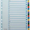Kartongregister Esselte Mylar A4 A-Ö, plastförstärkta flikar