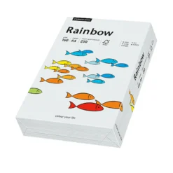 Kopieringspapper Rainbow A4 160g ljusgrå, matt, 250 ark