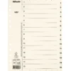 Pappersregister Esselte Servo A4 1-15, ofärgade flikar