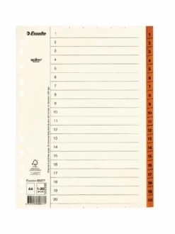 Pappersregister Servo A4 1-20, Mylar-förstärkt, brun