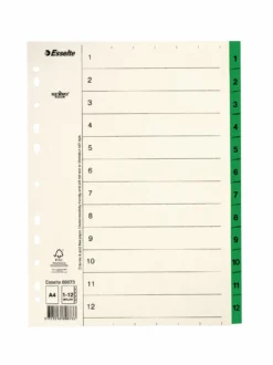 Pappersregister Timing Mega A4 1-12, grön