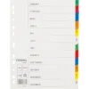 Pappersregister Timing Mega A4 Jan-Dec, rosa