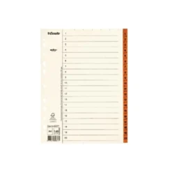 Pappersregister Timing Mega A4 1-20, plastförstärkta flikar, brun