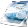 Plastficka Durable PREMIUM A4, universalhålad, 50 st