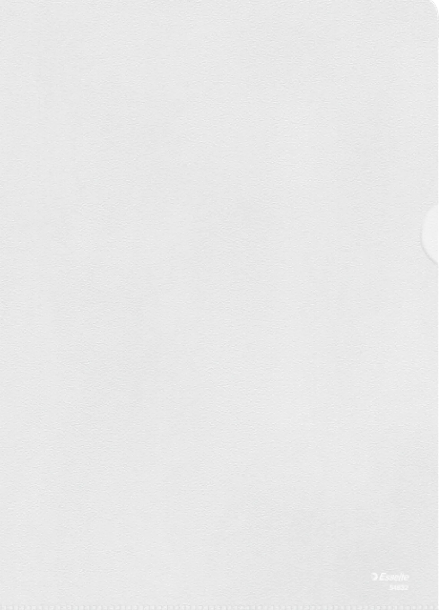 Plastmapp Esselte A4 PP Klar Präglad, 100 st