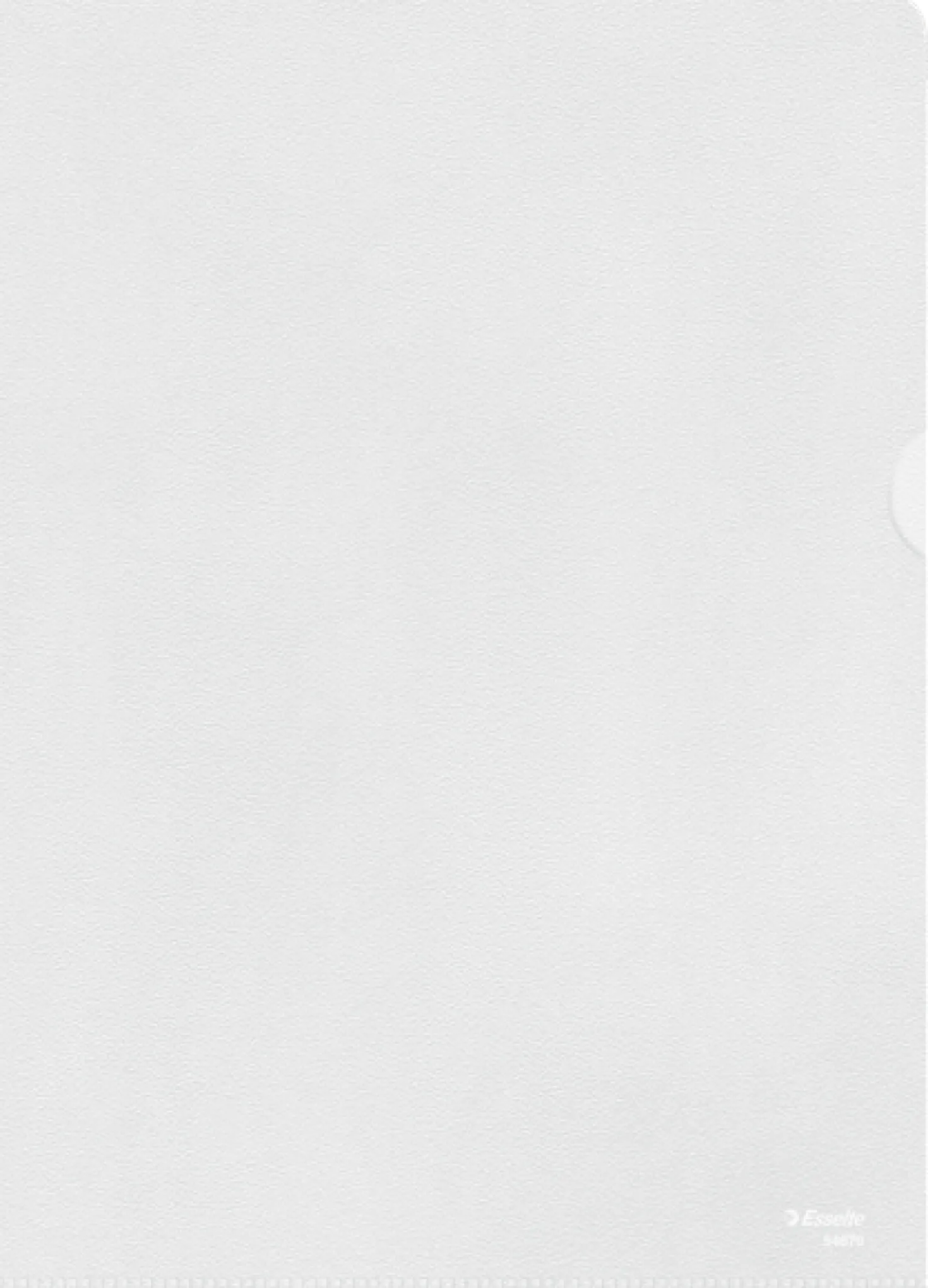 Plastmapp Esselte Premium A4 Transparent, reflexfri, 100 st