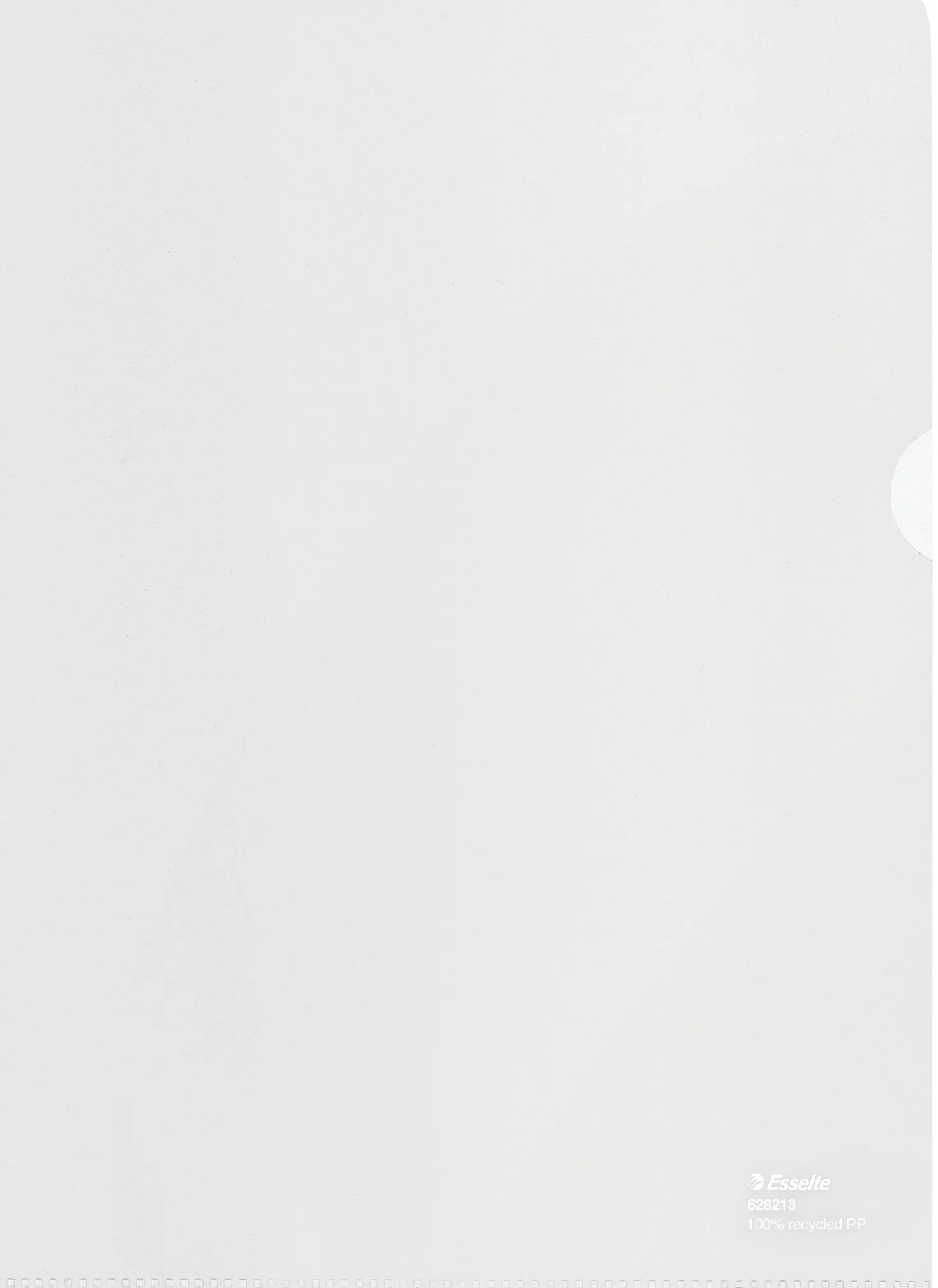 Plastmapp Esselte Recycled A4, 100 my, 20 st
