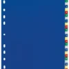 Plastregister Durable A4 1-31, färgkodade flikar, PP