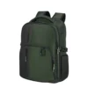 Ryggsäck Samsonite Biz2Go Daytrip, 15,6 tum, 22,5 L, grön