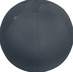 Sittboll Leitz Cosy Ergo, grå, Ø 65 cm, max 100 kg