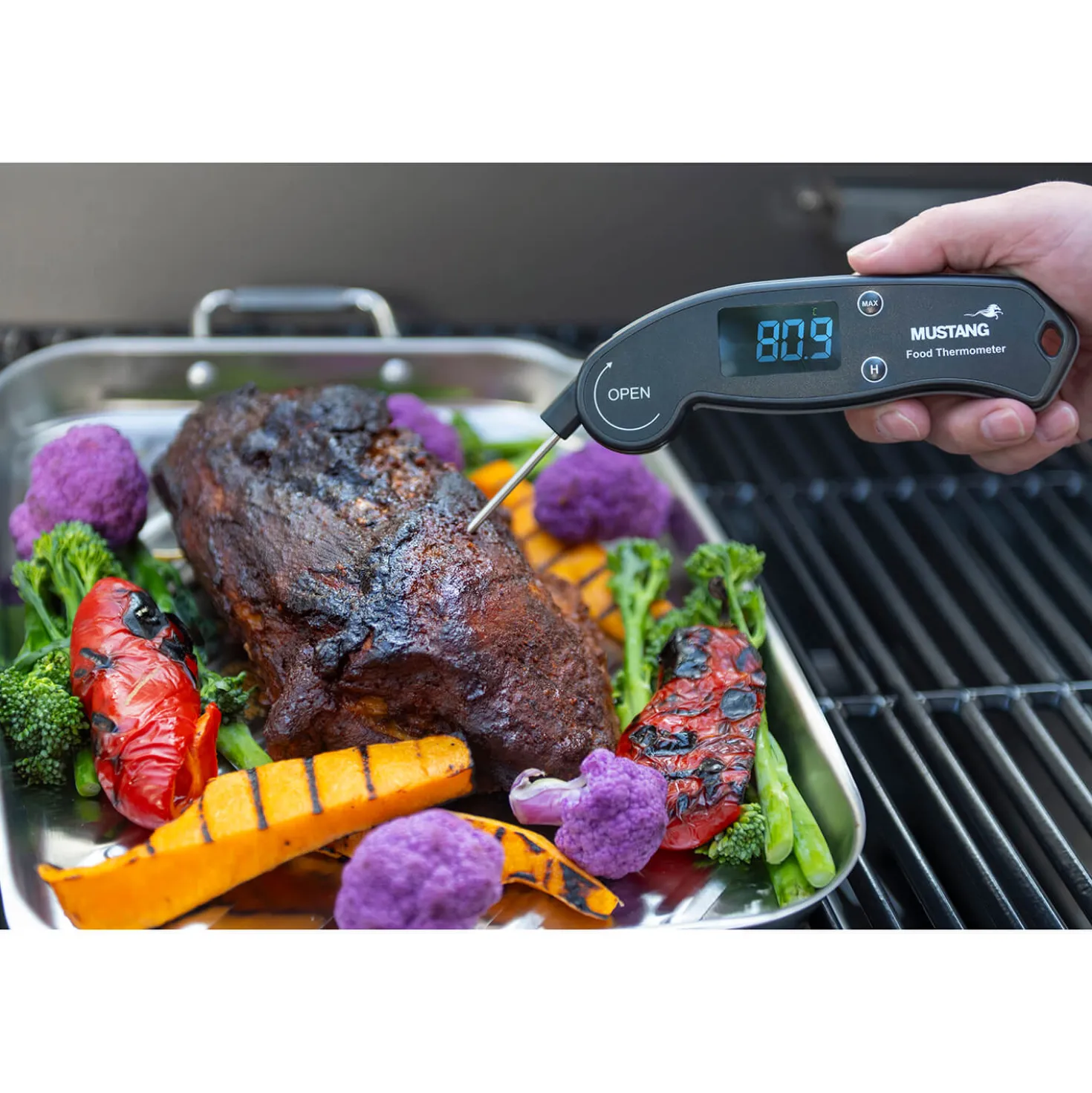 Stektermometer MUSTANG Foldable Digital, -40 till +300°C