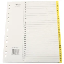Systemregister Timing Plus A4+ 1-31, förstärkta plastflikar