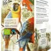 Te LIFE BY FOLLIS Kokos ananas 20/fp